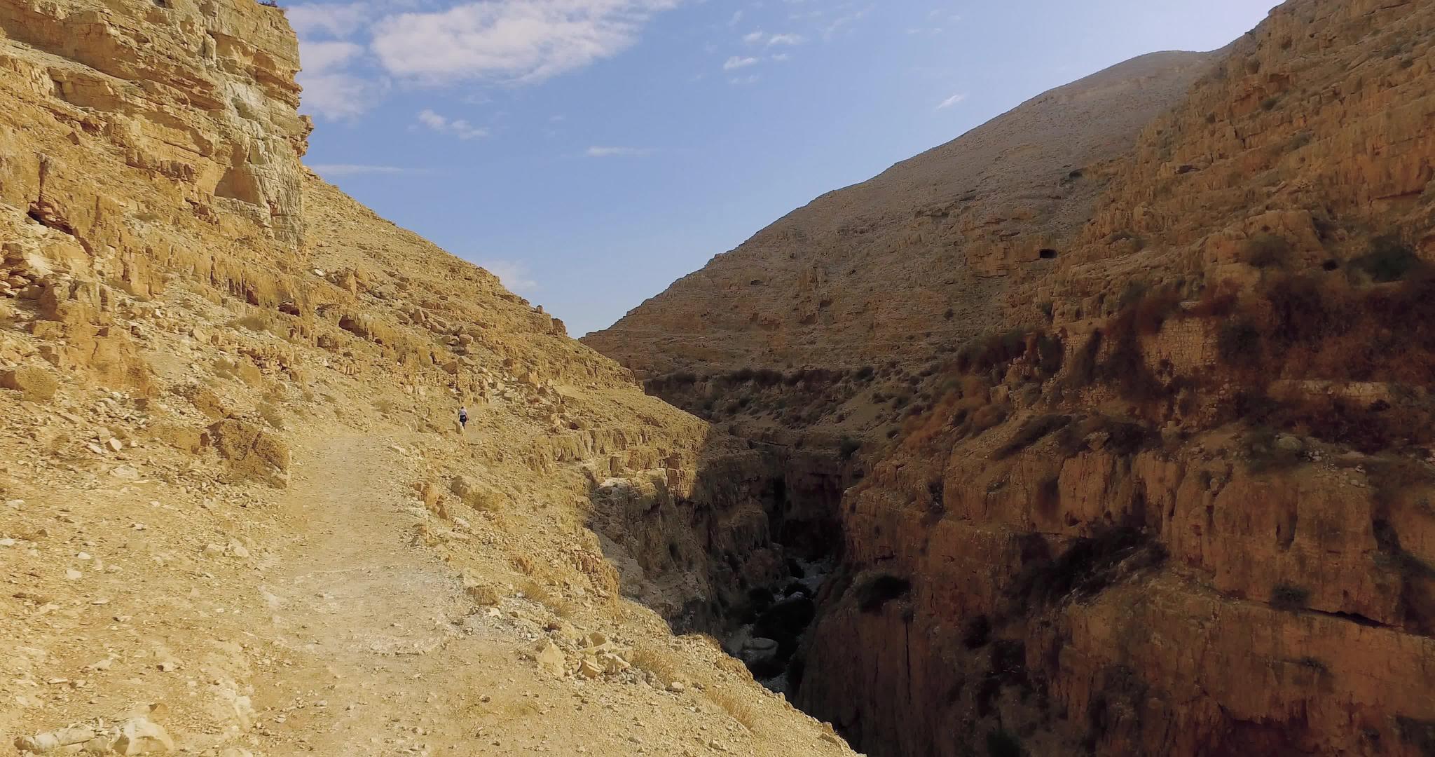 从Judean圣洁的沙漠Sabbas马萨巴大草原视频的预览图