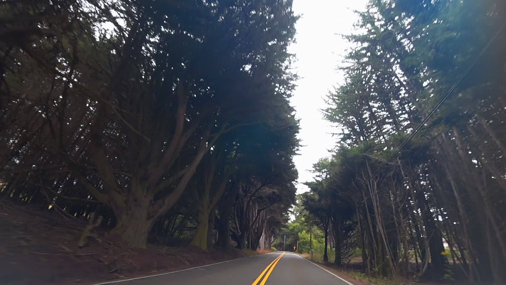 汽车沿着厚厚的树木的道路驶往美国视频的预览图