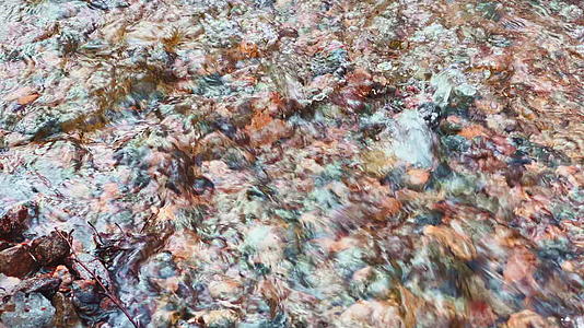 春天的第一天小溪流过公园里的冰和泥坑里的树木倒影视频的预览图
