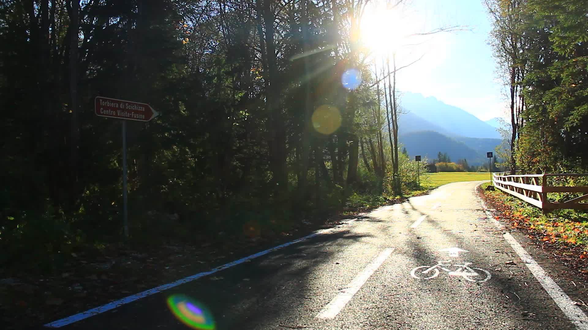 秋天森林里的自行车路视频的预览图
