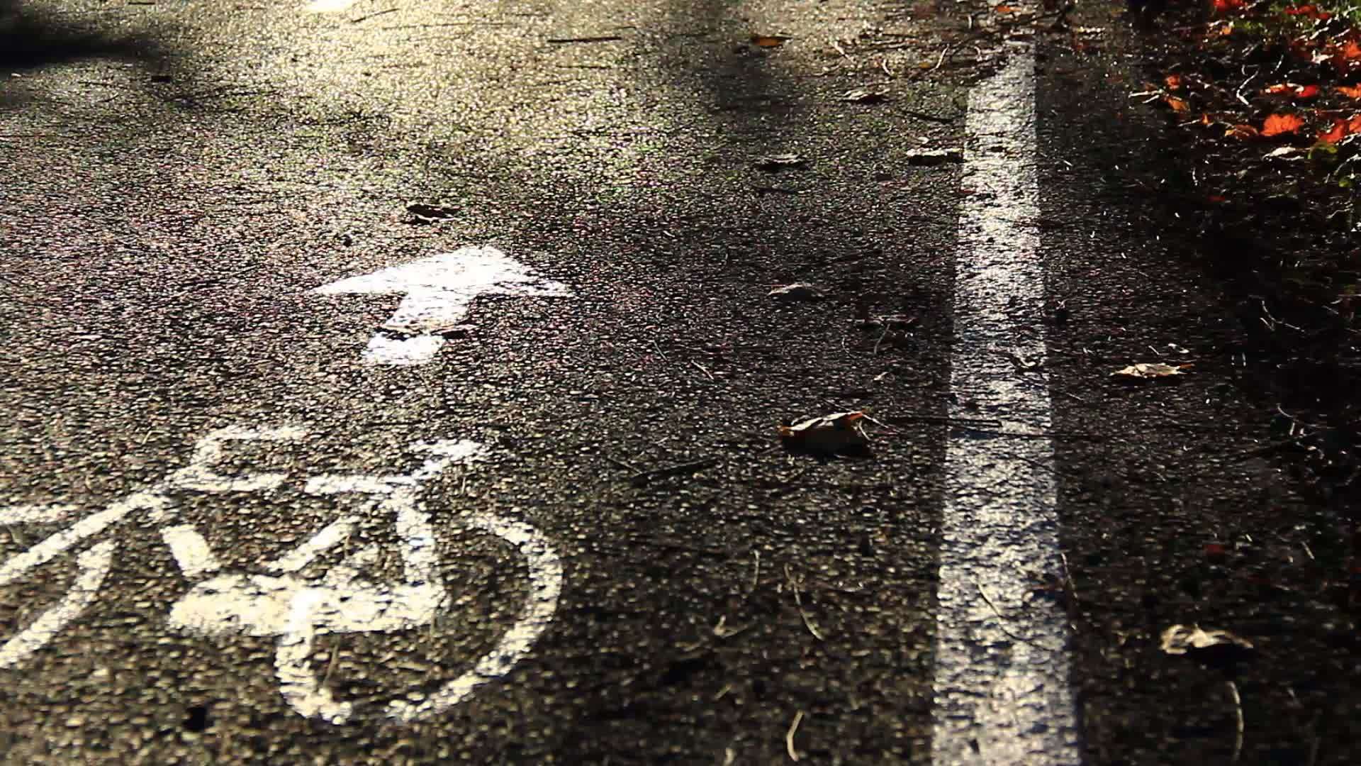 路边自行车路径视频的预览图