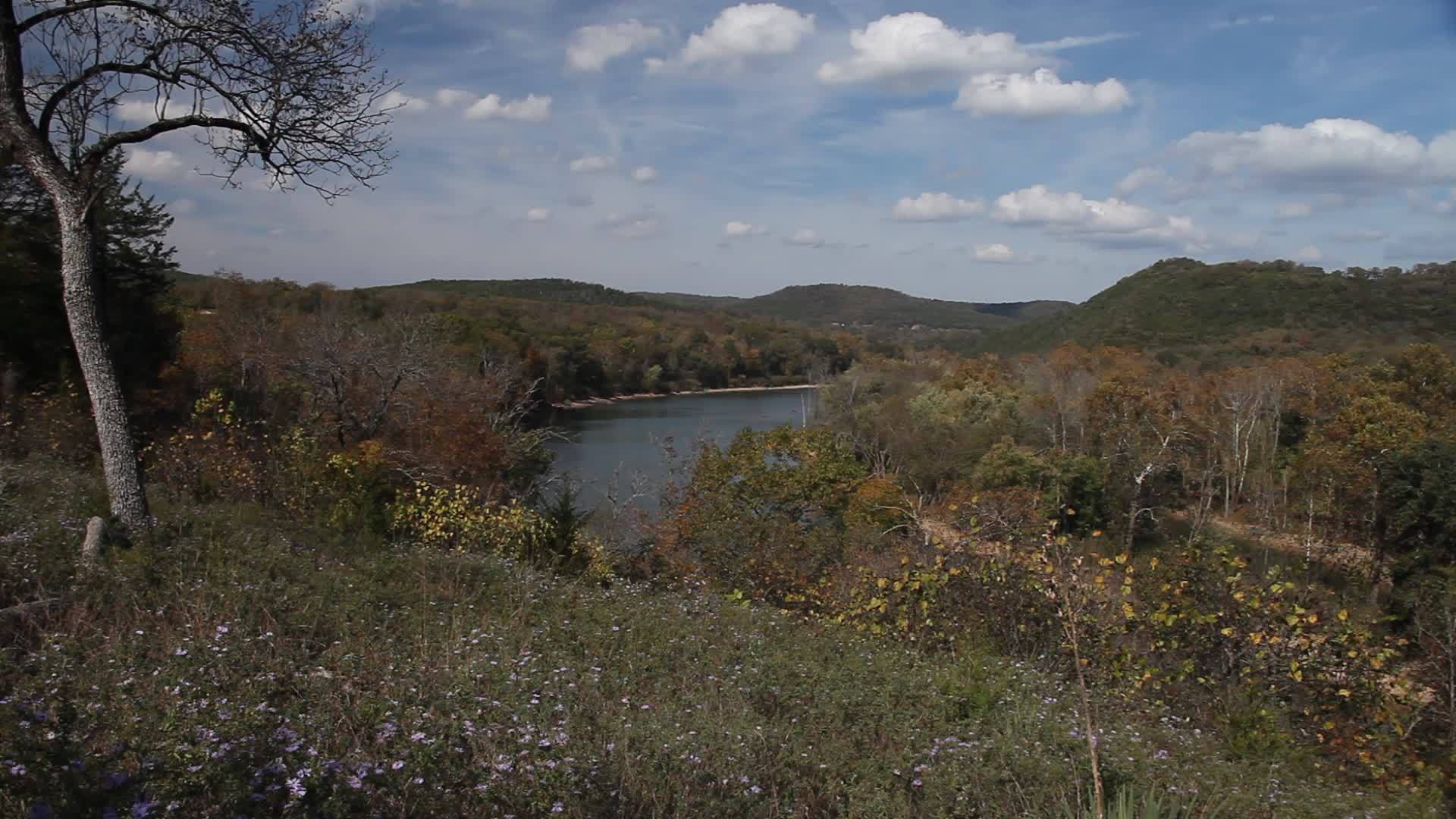 Arkansas的河边景象视频的预览图
