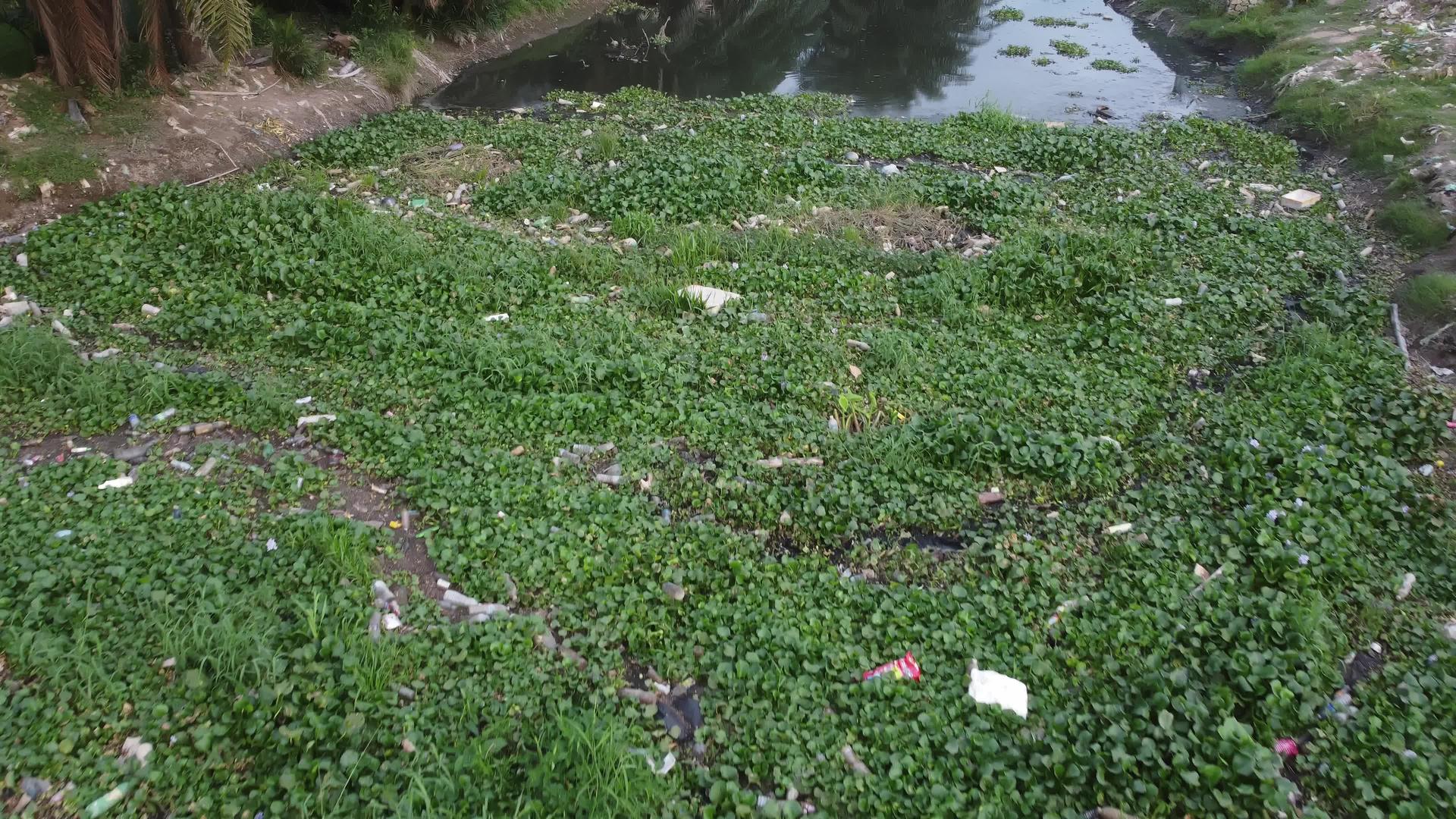 绿色植物和污染在河上飞翔视频的预览图