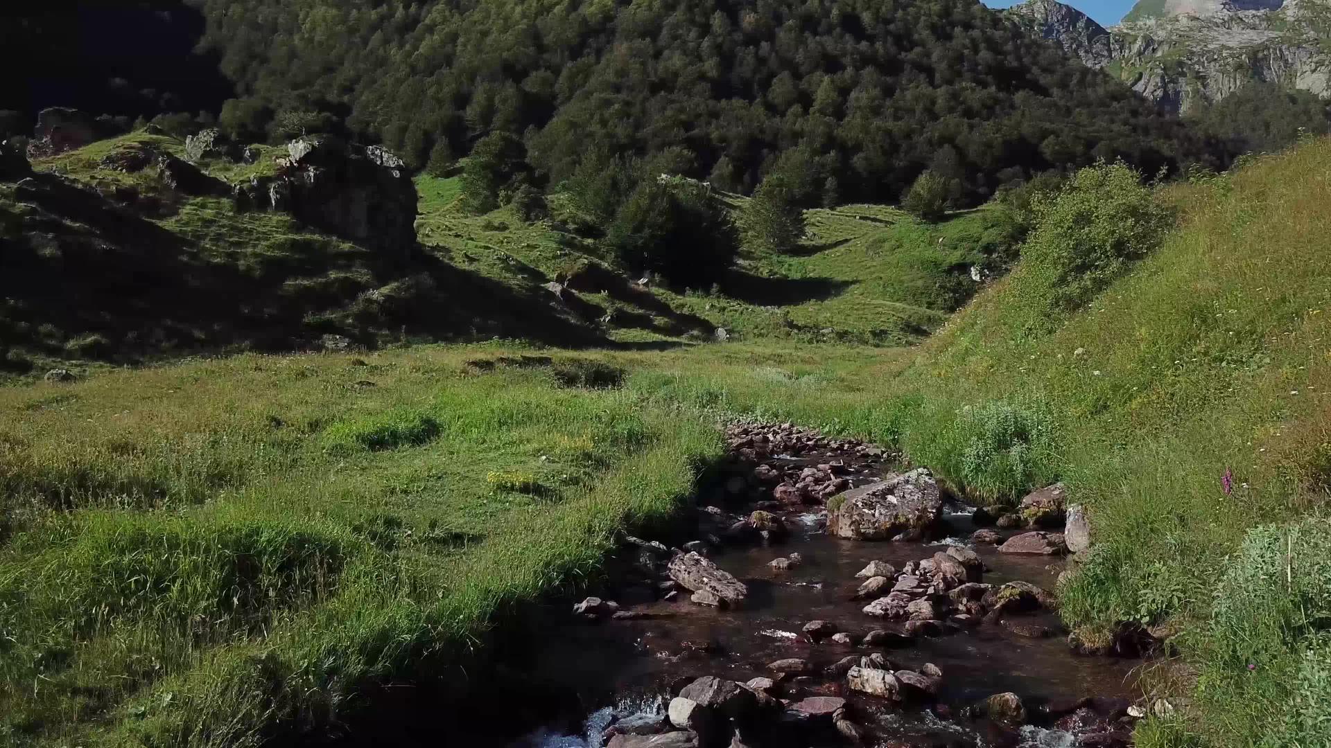 山上有小河山上有比利牛斯人视频的预览图