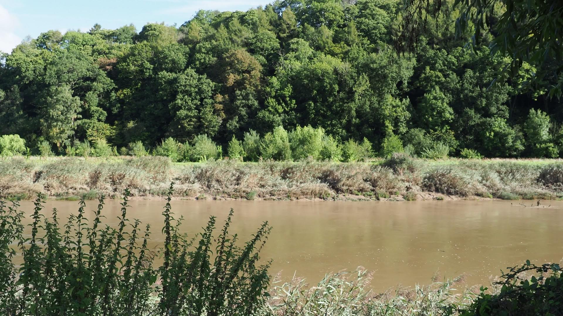 位于锡ern韦尔什河附近的河流faon视频的预览图