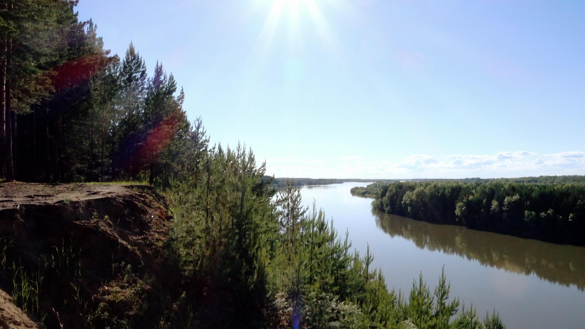 河流在森林中的全景视频的预览图