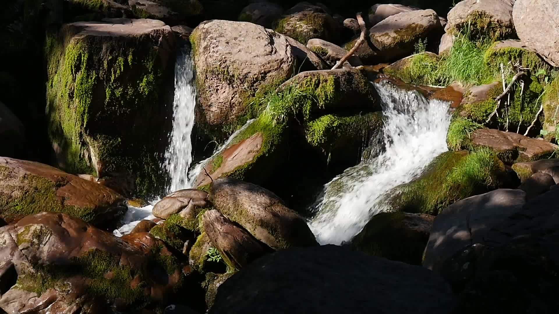 山上森林里的小河视频的预览图
