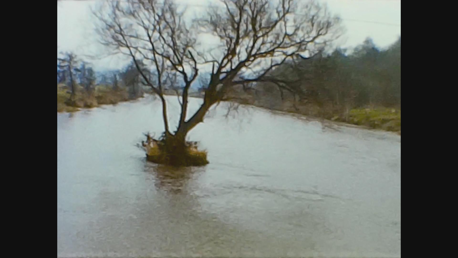 冬季河流统一在1966年视频的预览图