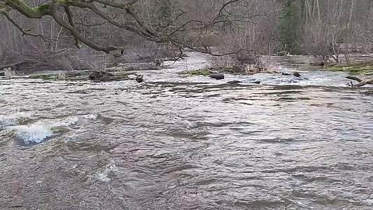 野生水在英国农村地貌中迅速发展视频的预览图