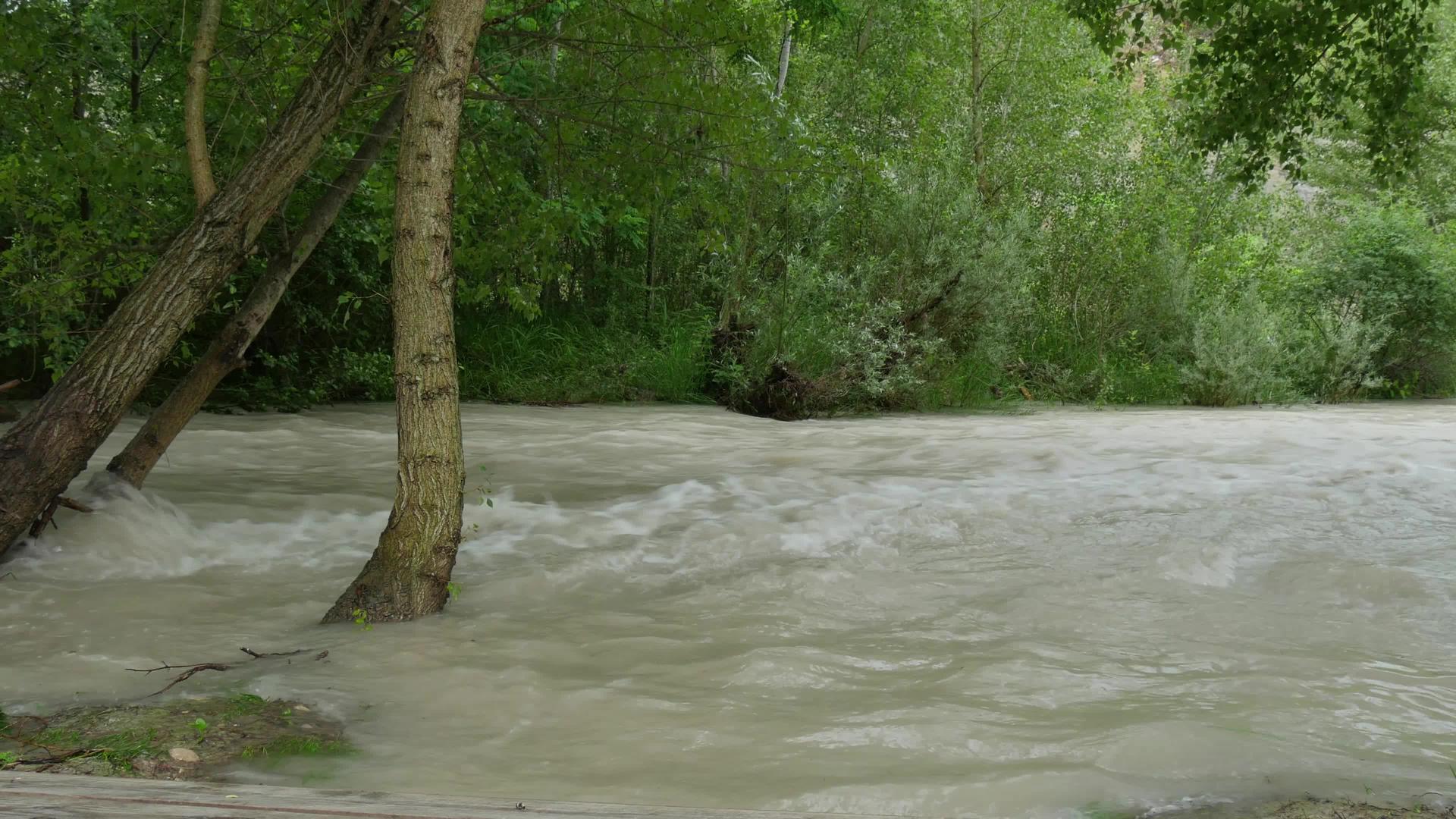 河中泥流的景观视频的预览图