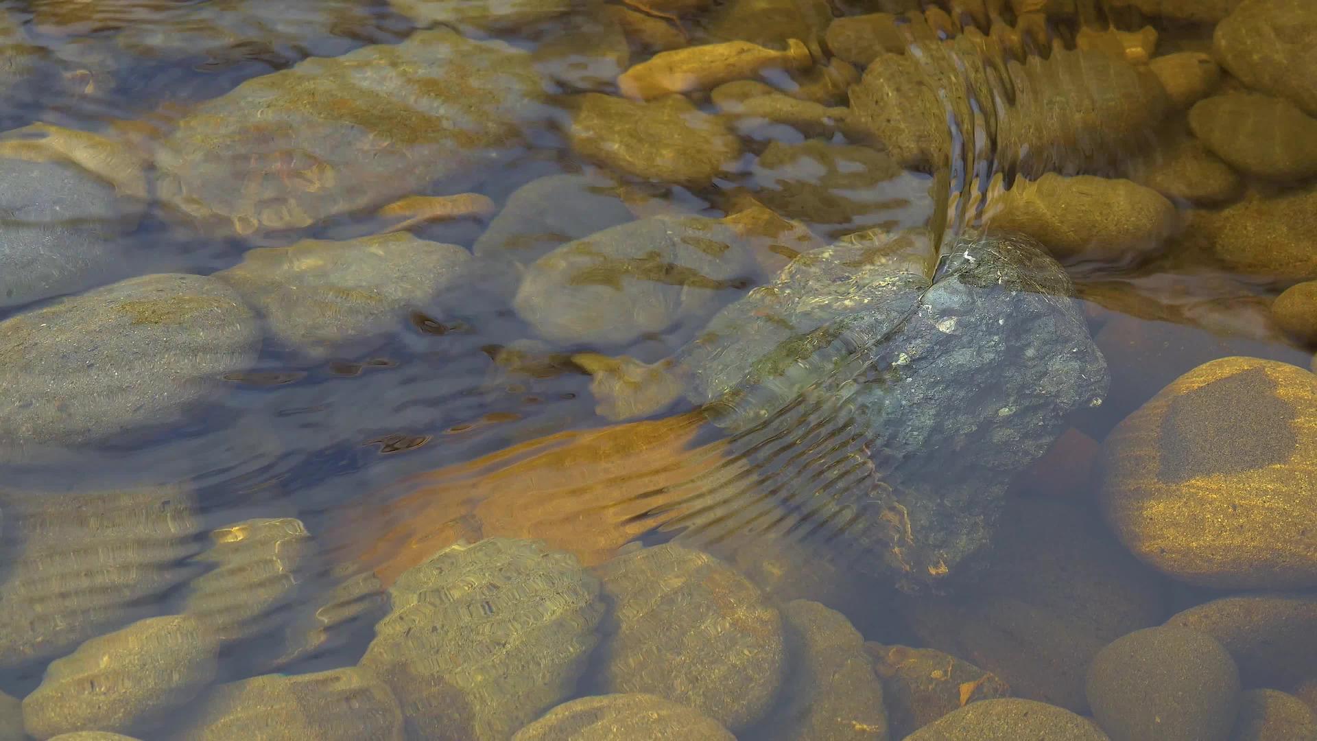 太平洋沿岸的一条小溪流入奥林匹克国家公园视频的预览图