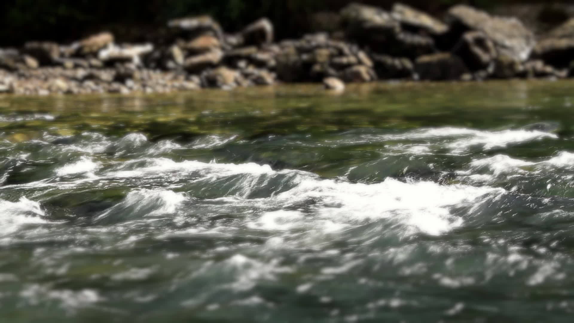 一条小山河视频的预览图