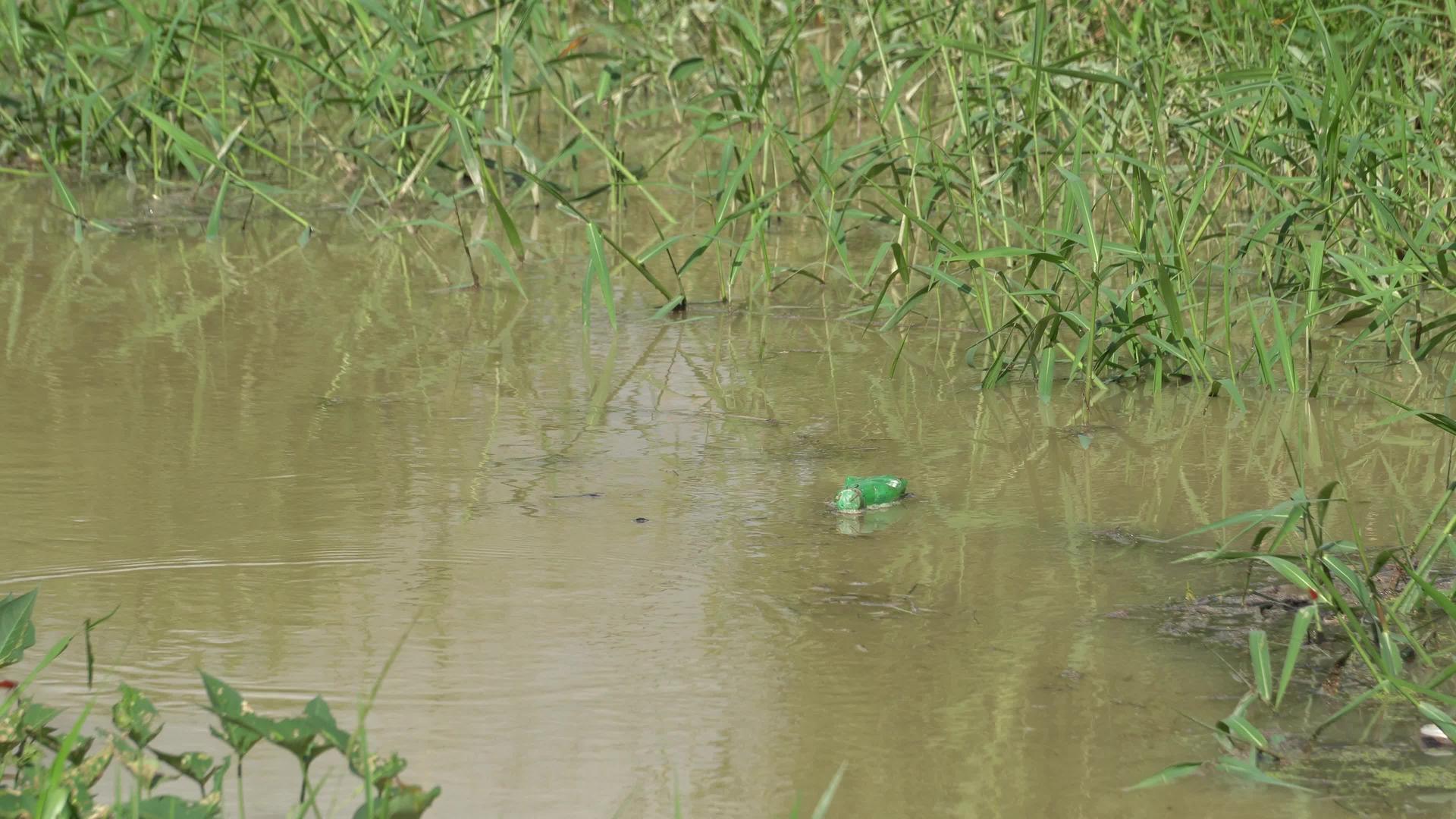 绿色塑料瓶在河流中流动视频的预览图