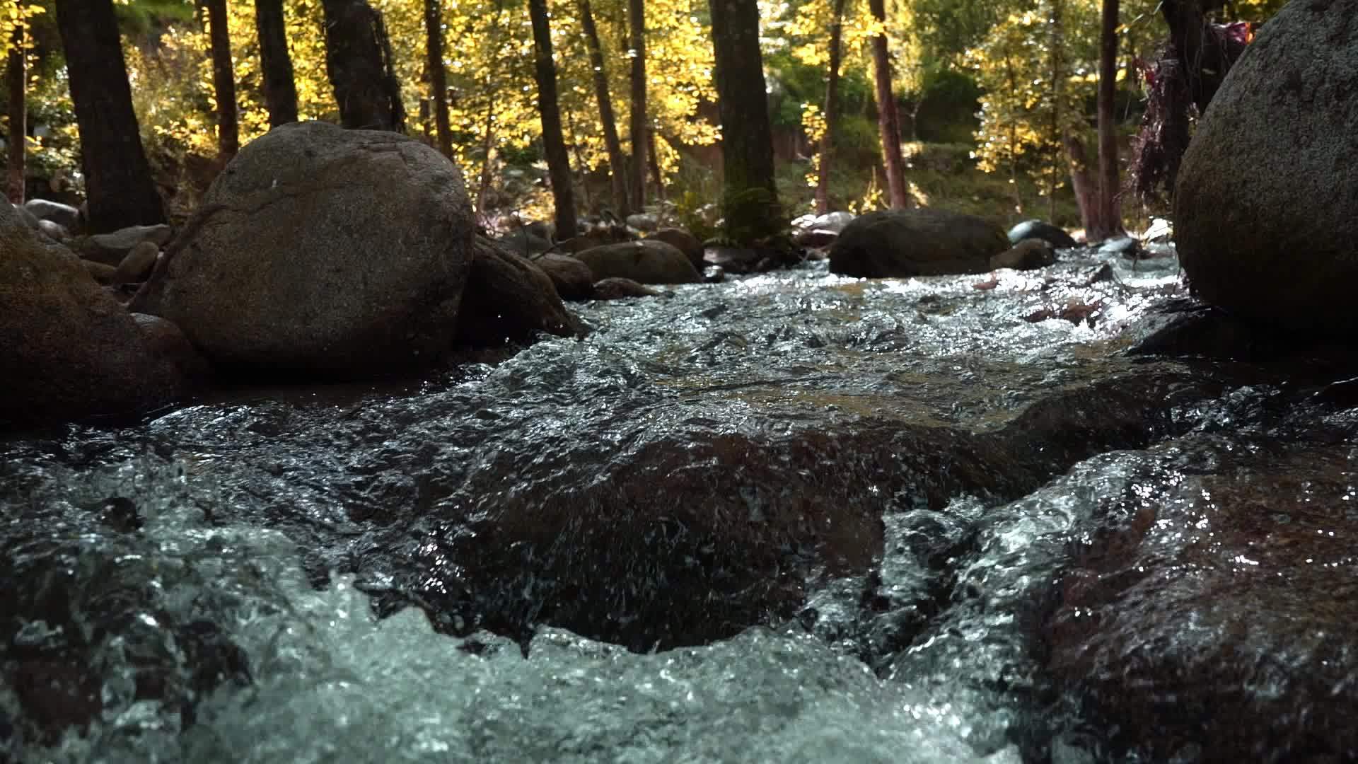 潮湿的海水羊毛喷洒在马那利森林的岩石河上视频的预览图