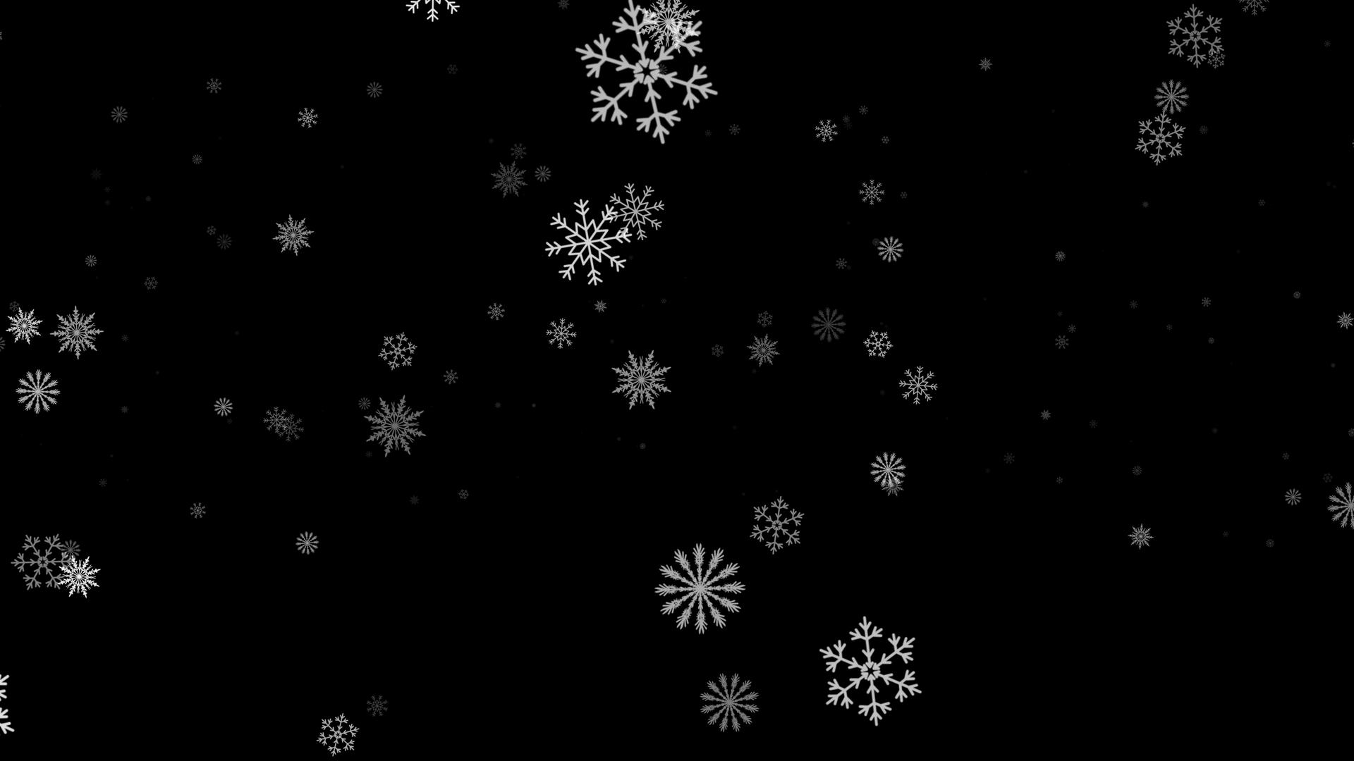 4k雪花粒子飘落动画元素视频的预览图