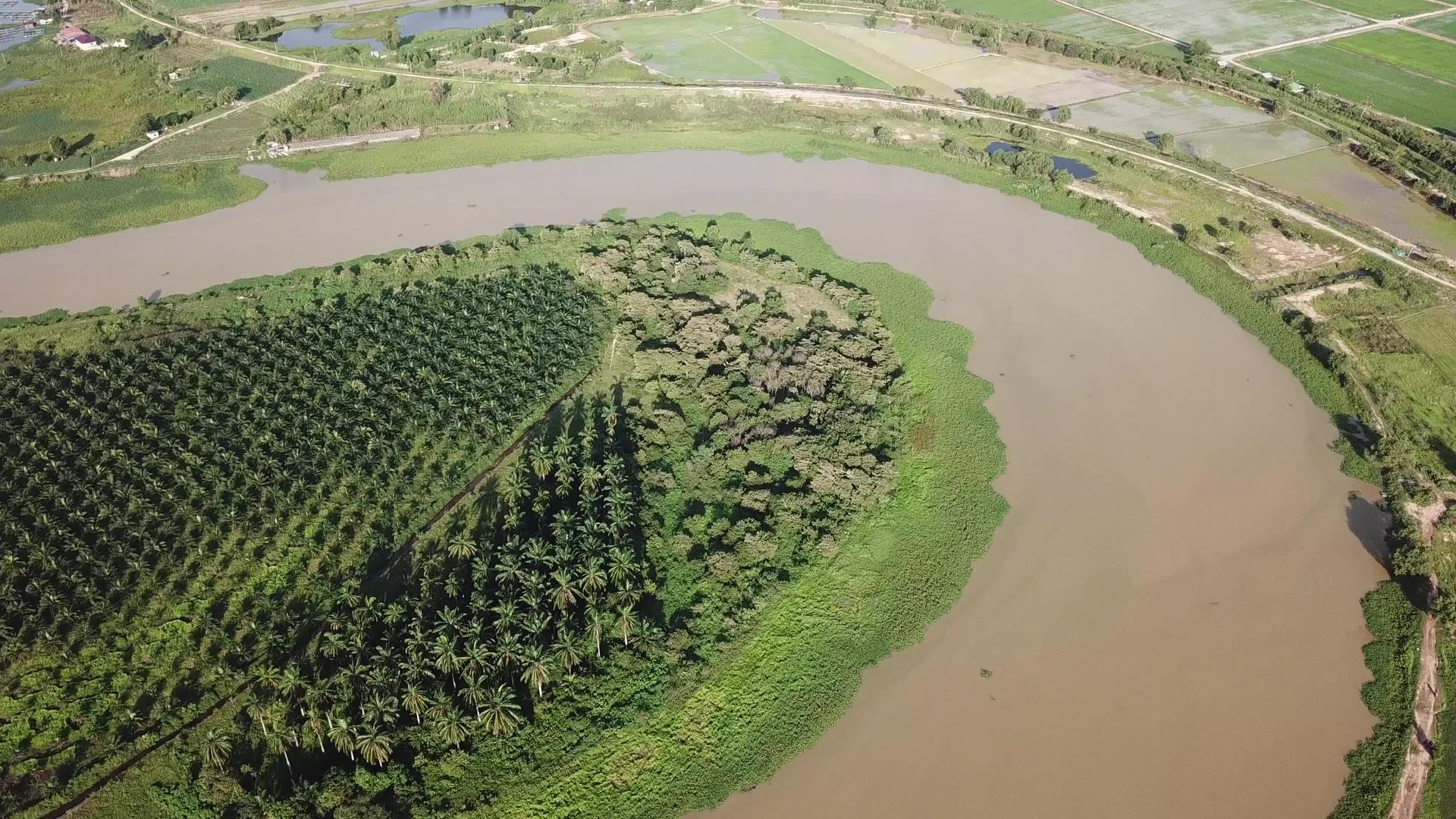 观察油棕种植园上空的空气视频的预览图