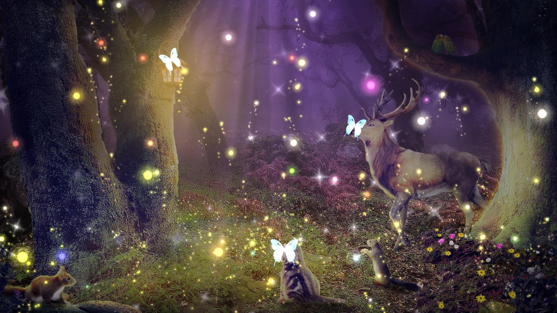 唯美动态森林梦幻光效粒子背景视频元素视频的预览图