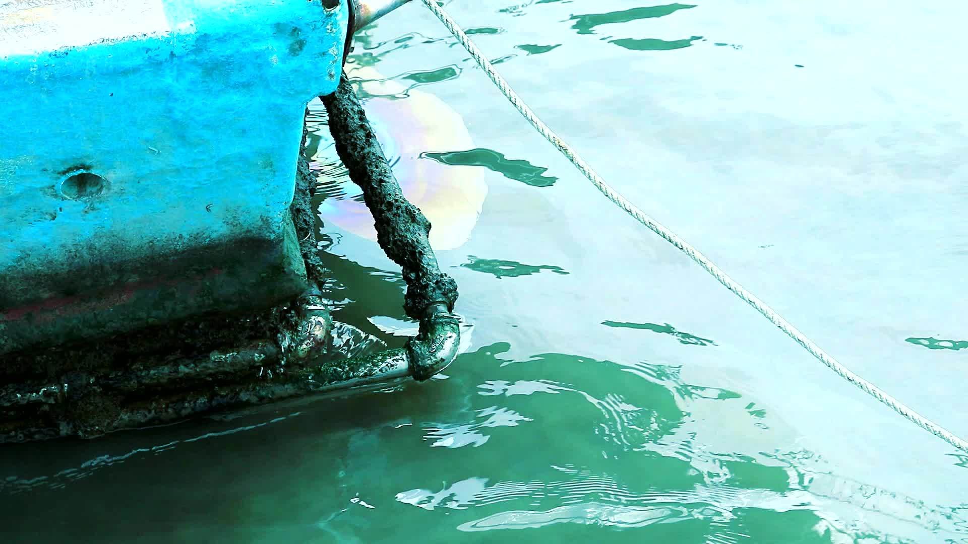 船上的油污污染了环境和水生海洋生物视频的预览图