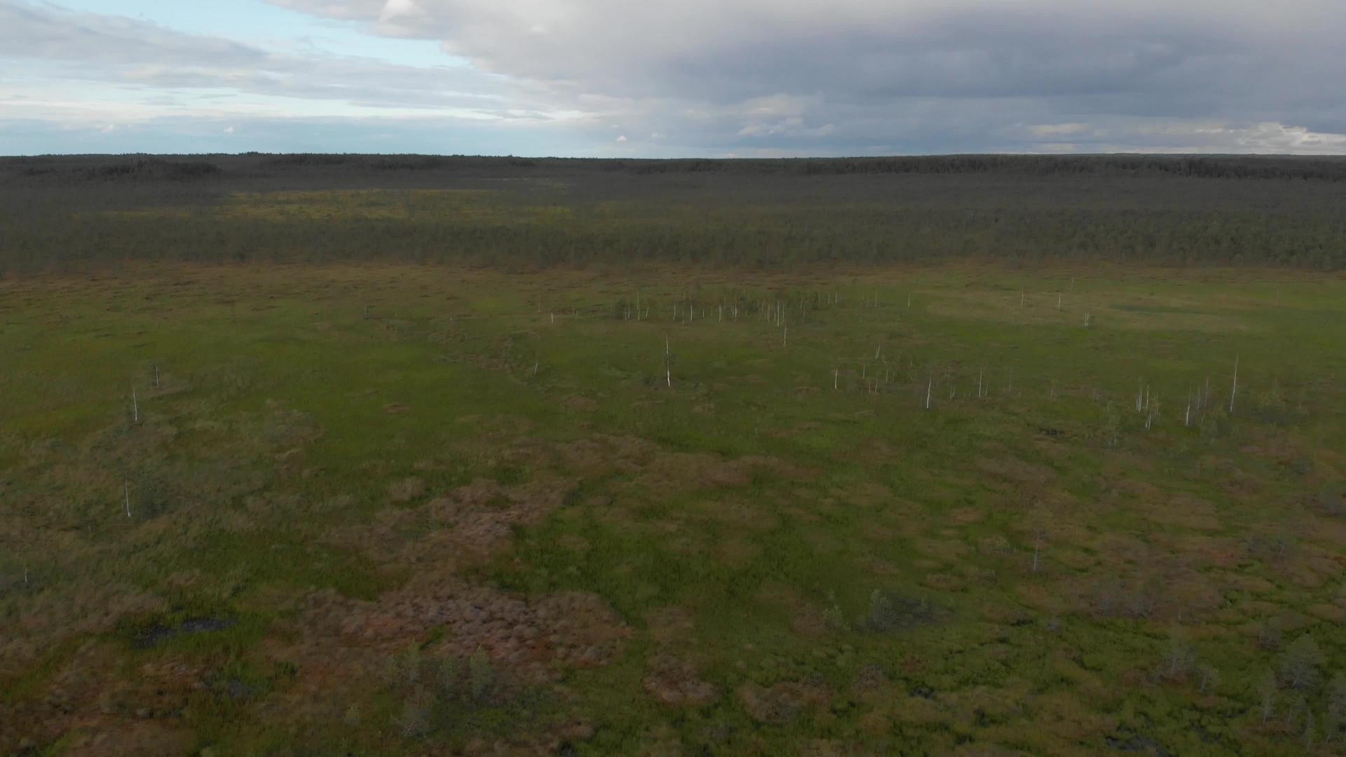 荒凉的沼泽广阔的湿绿地在空中飞翔视频的预览图