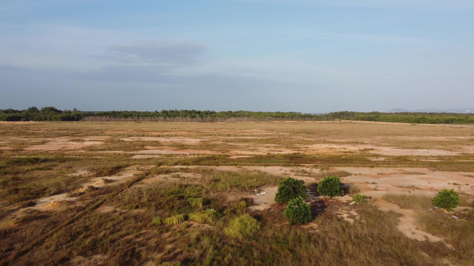 马来西亚湿地干旱造成的干草视频的预览图