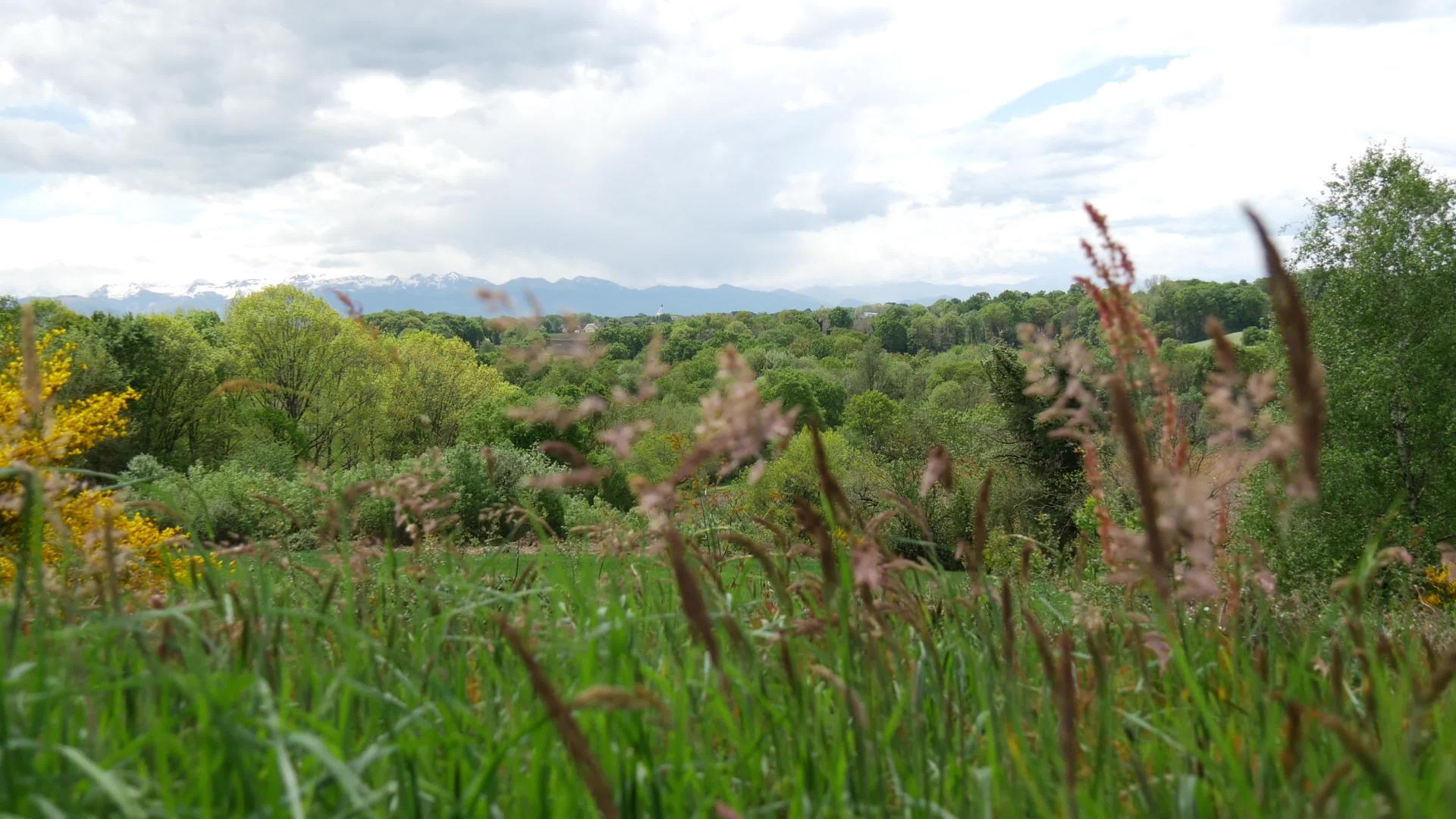 弗朗特的春天在法国西南部视频的预览图