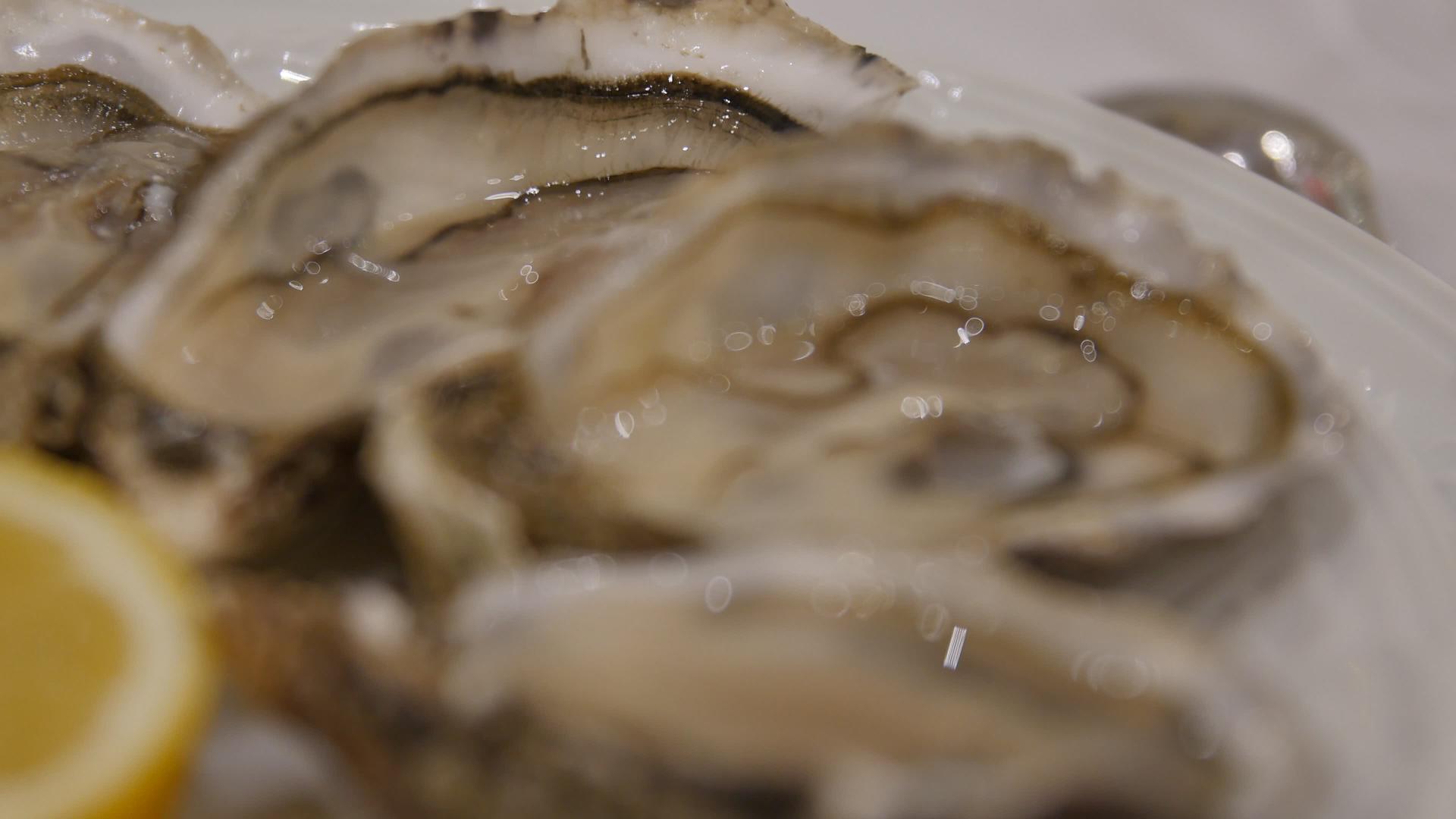 大牡蛎菜白菜上新鲜牡蛎的超级特写在一家鱼餐厅供应视频的预览图