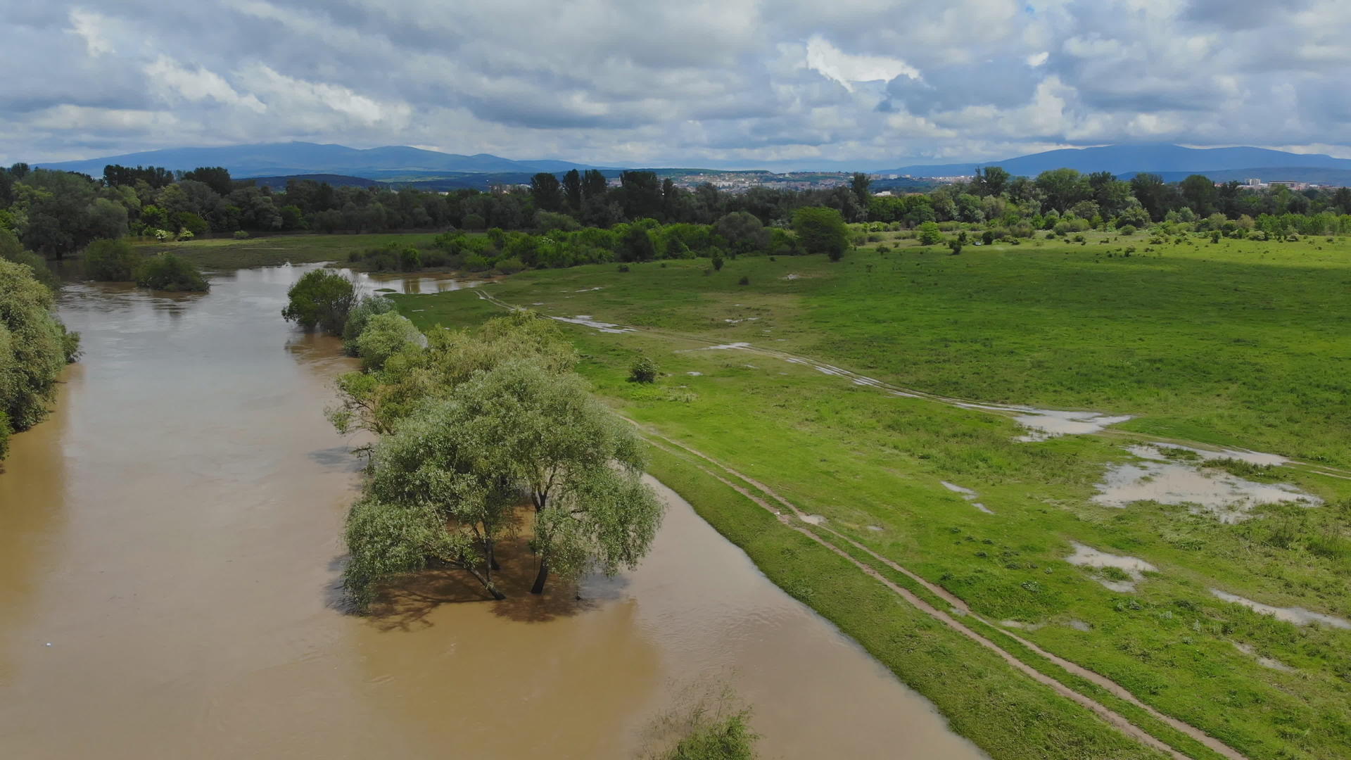 河水泛滥泉水涌入地表的森林视频的预览图