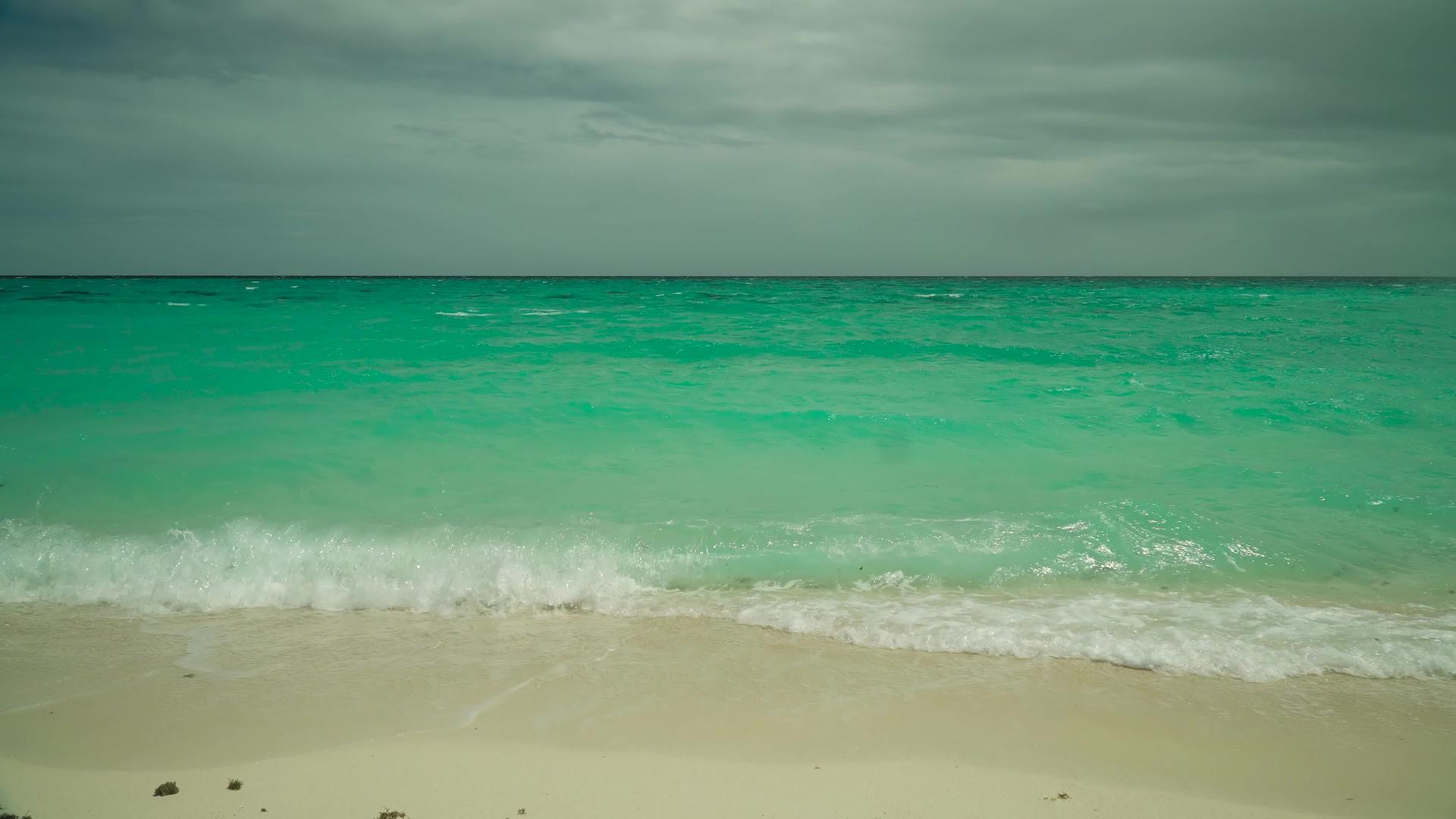 热带海滩和蓝海菲利平鱼视频的预览图