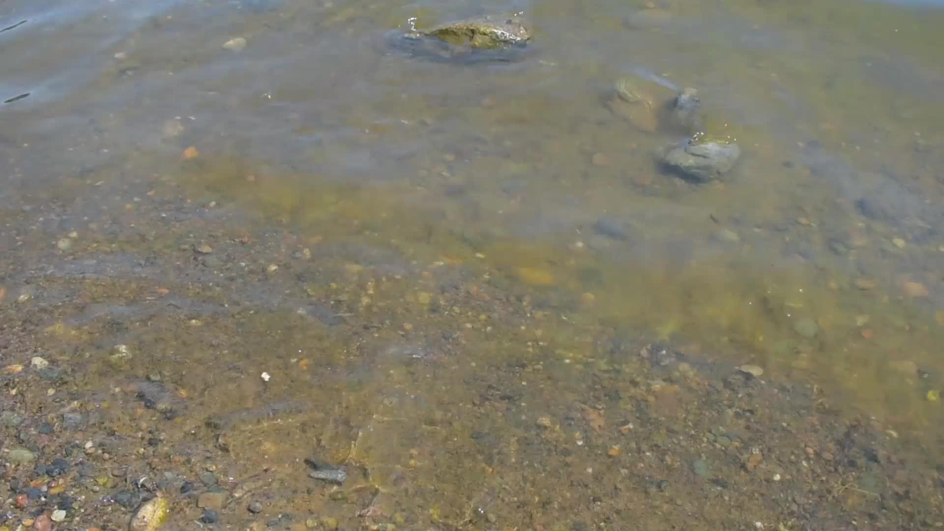 在阳光明媚的一天水浪冲向岩石河岸视频的预览图