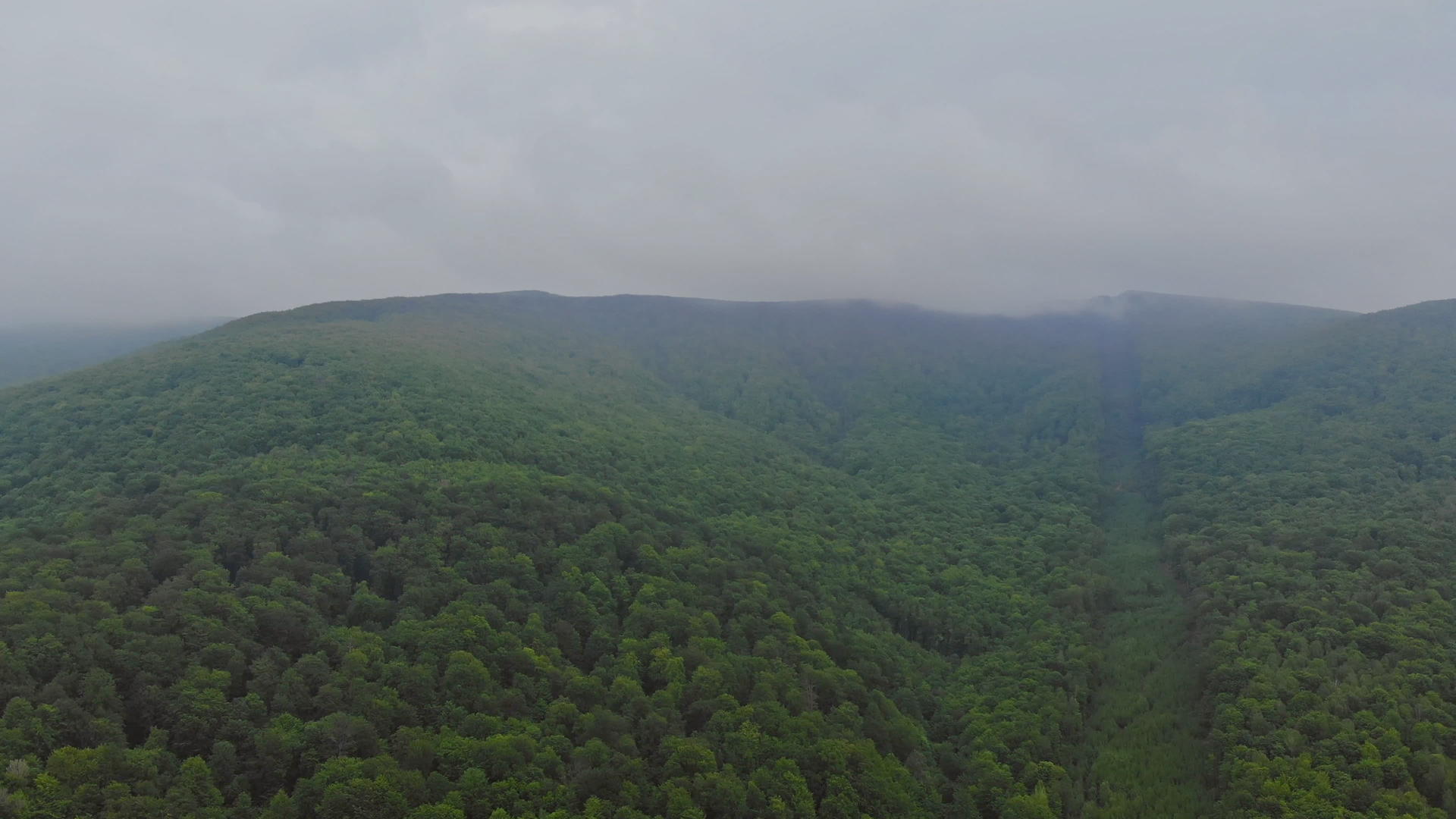 在黎明的天空下山景、山林和树木伴随着森林雾视频的预览图