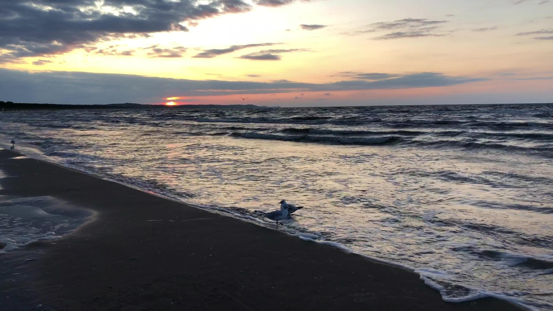 黄海沙滩日落视频的预览图
