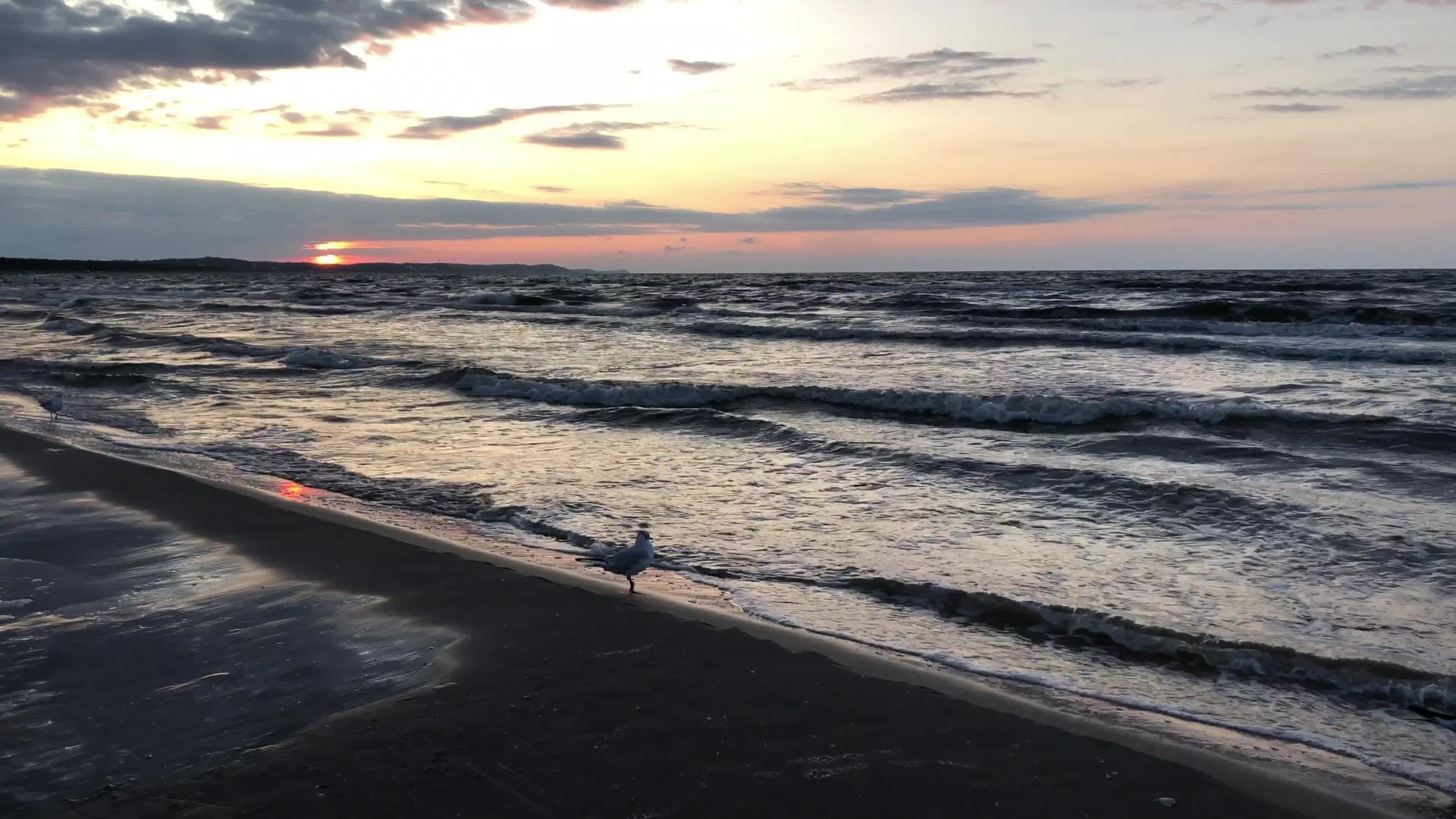 黄海沙滩日落视频的预览图