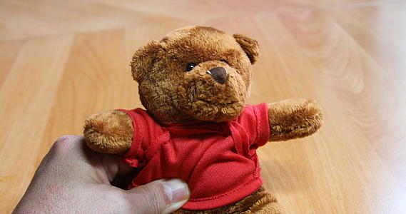 棕色泰迪熊红衬衫移动视频的预览图