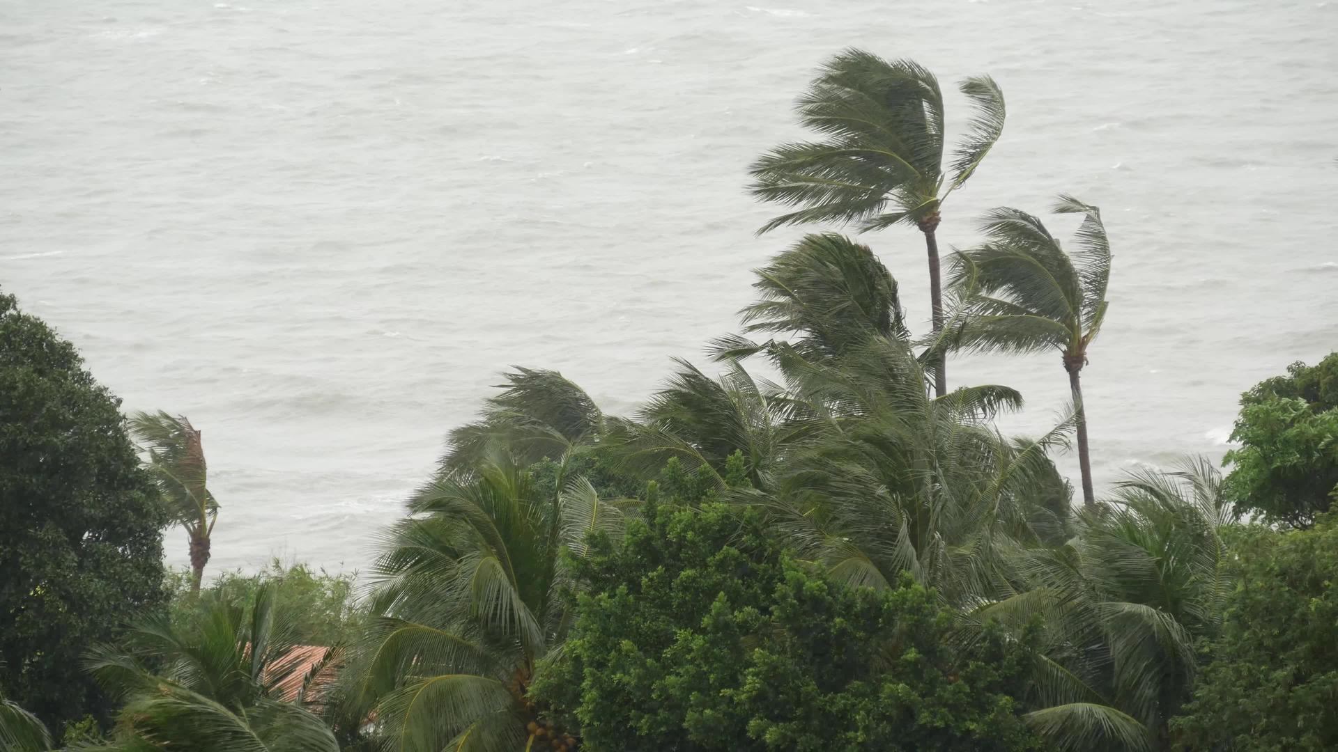 Pabuk台风海洋海岸泰国自然灾害眼墙飓风极端视频的预览图