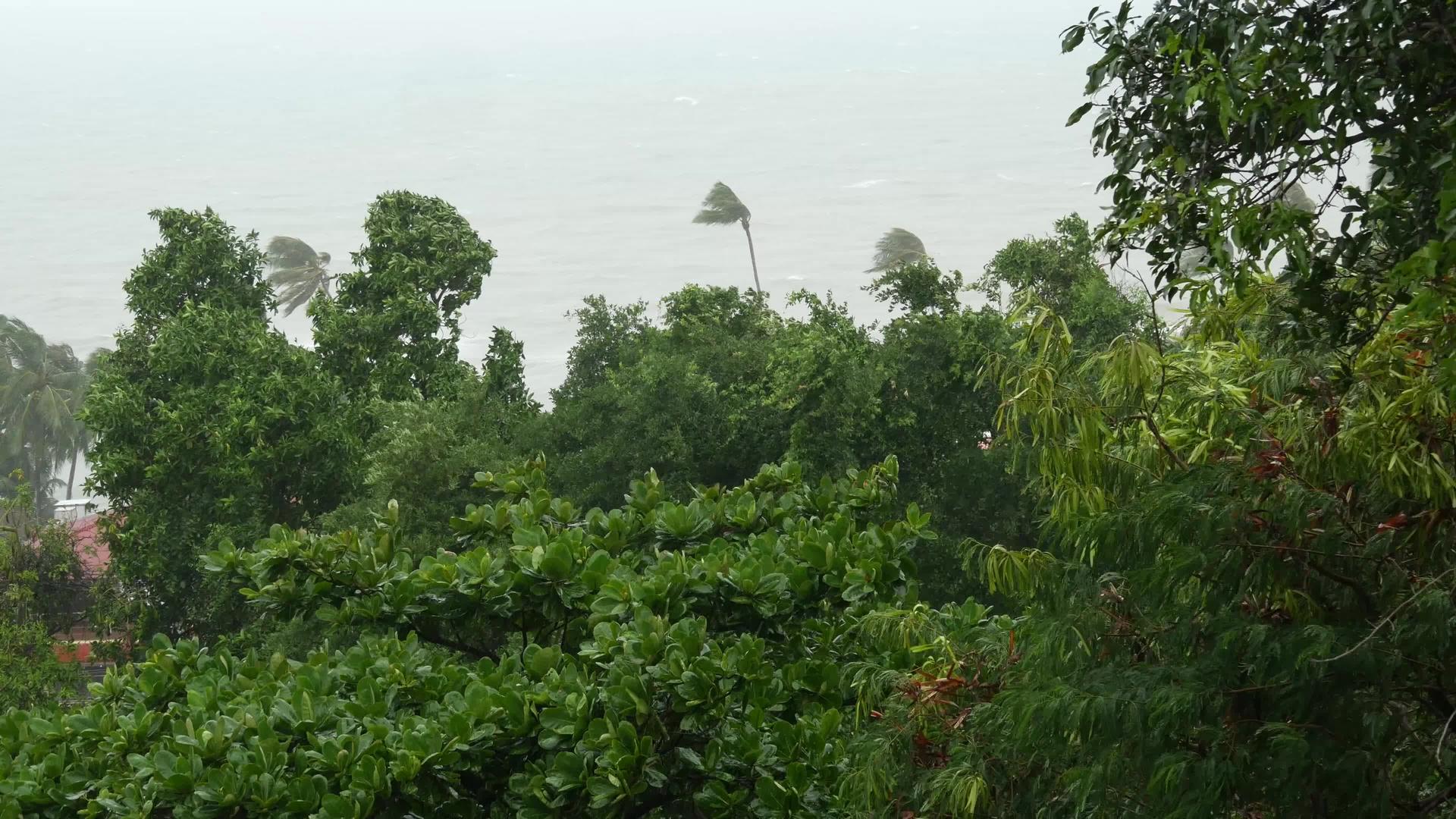Pabuk台风海洋海岸泰国自然灾害眼墙飓风极端视频的预览图