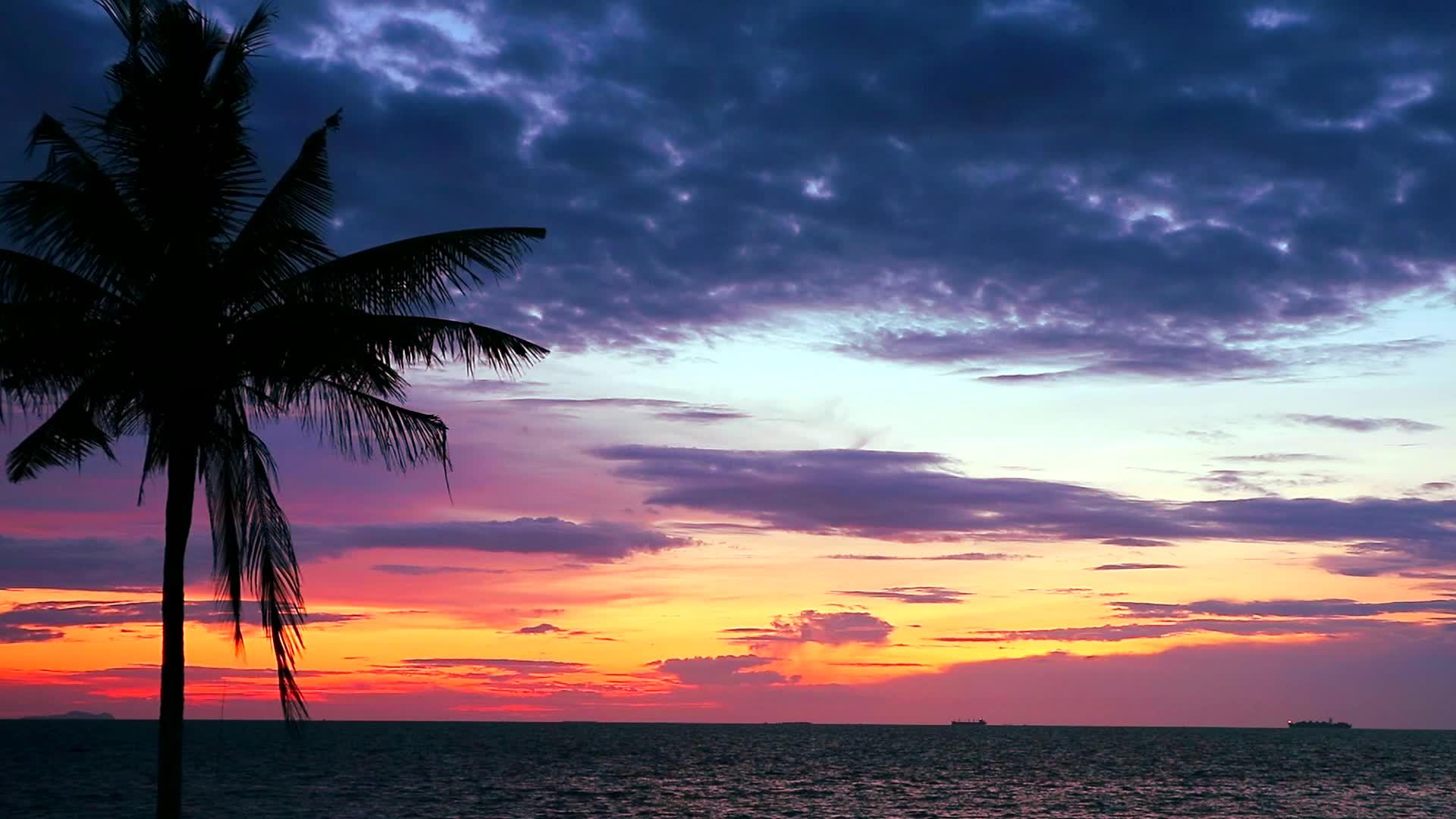 海中月光的椰子日落和天空中的热云视频的预览图