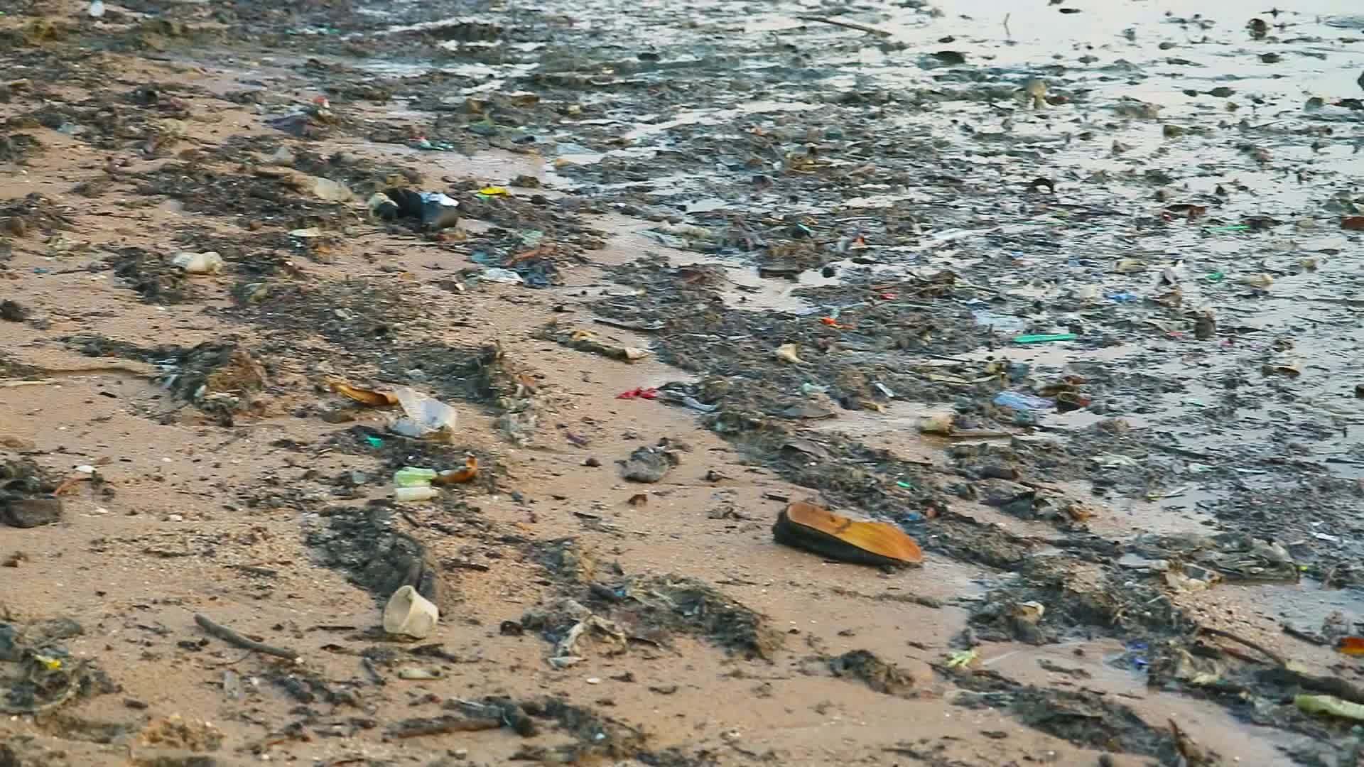 沿海垃圾海浪在海滩上抛弃了泡沫和海草把它们吹进海里视频的预览图