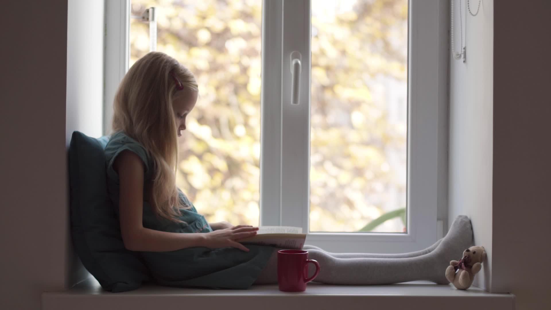 一个穿着绿色裙子的女孩的阅读窗台上有一只泰迪熊熊视频的预览图