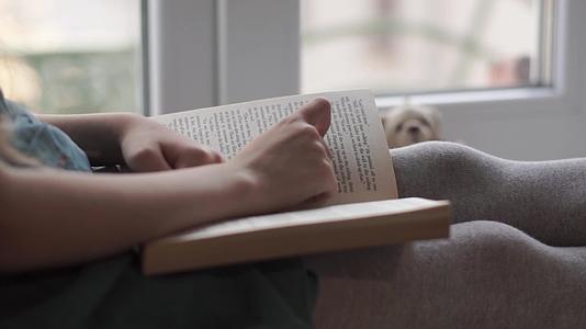 一个穿着绿色裙子的女孩用手指看书泰迪熊指着窗台视频的预览图