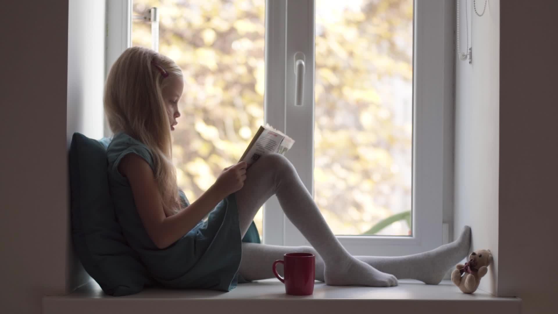 穿着绿色连衣裙的女孩在窗台上用泰迪熊看书视频的预览图