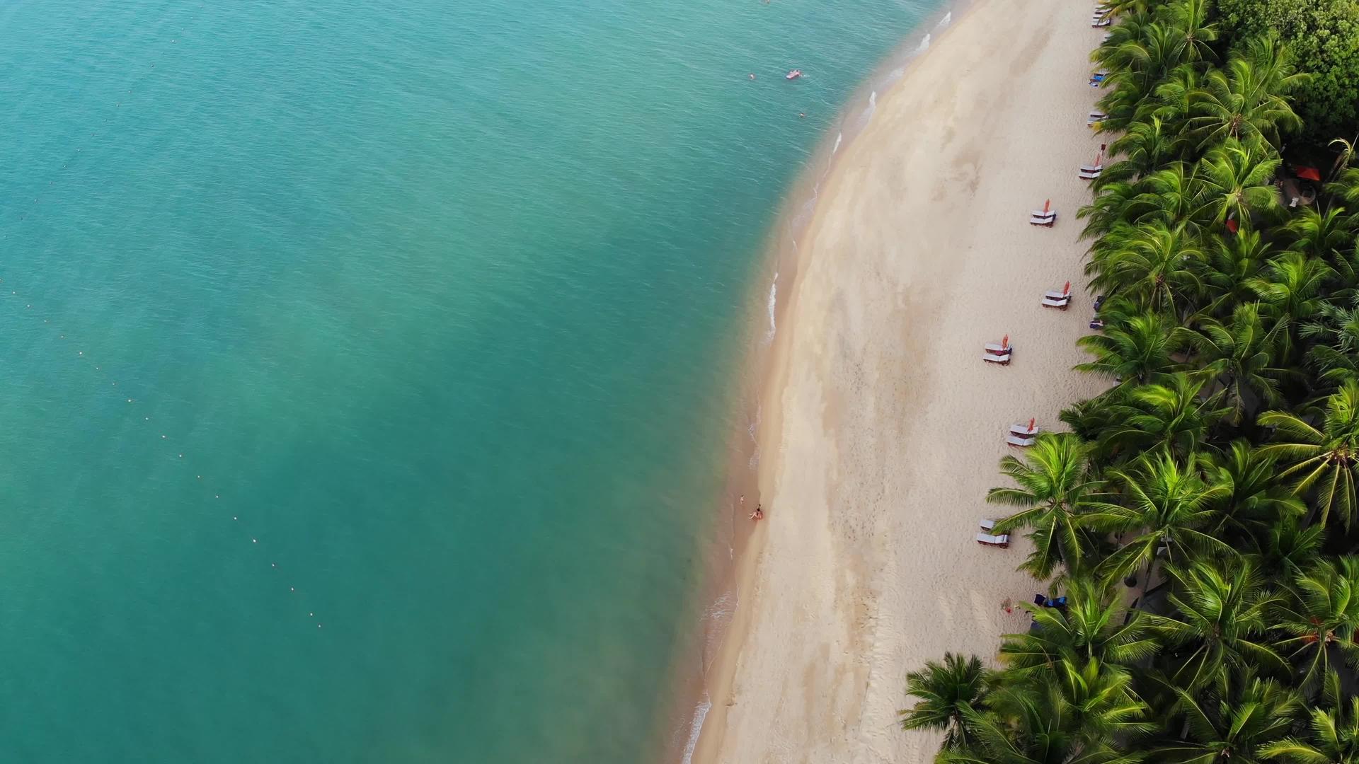 蓝色泻湖和棕榈树海滩上蓝色泻湖和日光浴床的鸟瞰图视频的预览图