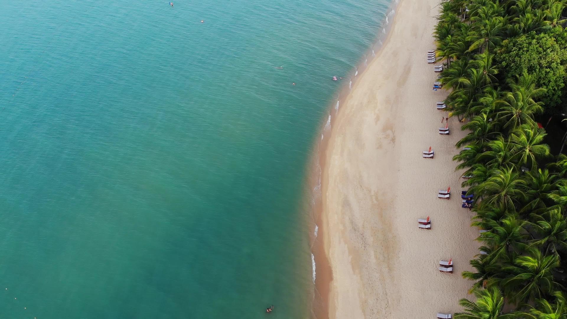 蓝色泻湖和棕榈树海滩上蓝色泻湖和日光浴床的鸟瞰图视频的预览图