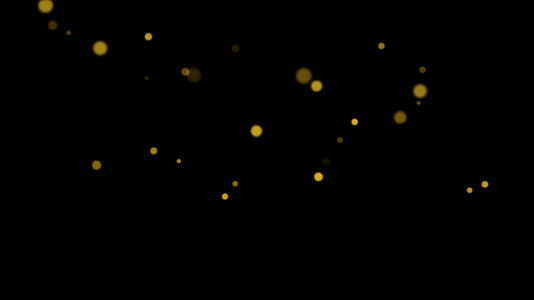 金色闪烁粒子带通道视频的预览图