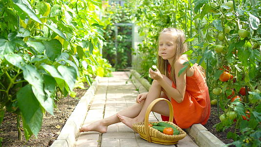 可爱的小女孩在温室里收集黄瓜和西红柿视频的预览图