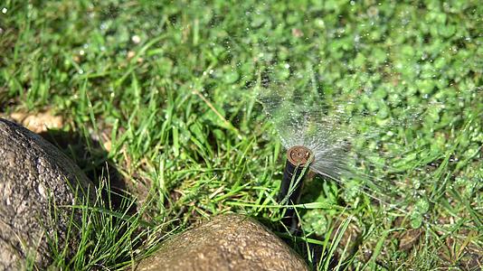 灌溉机用于自动浇灌草地草坪视频的预览图