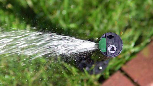 喷雾器自来水灌溉绿草坪视频的预览图