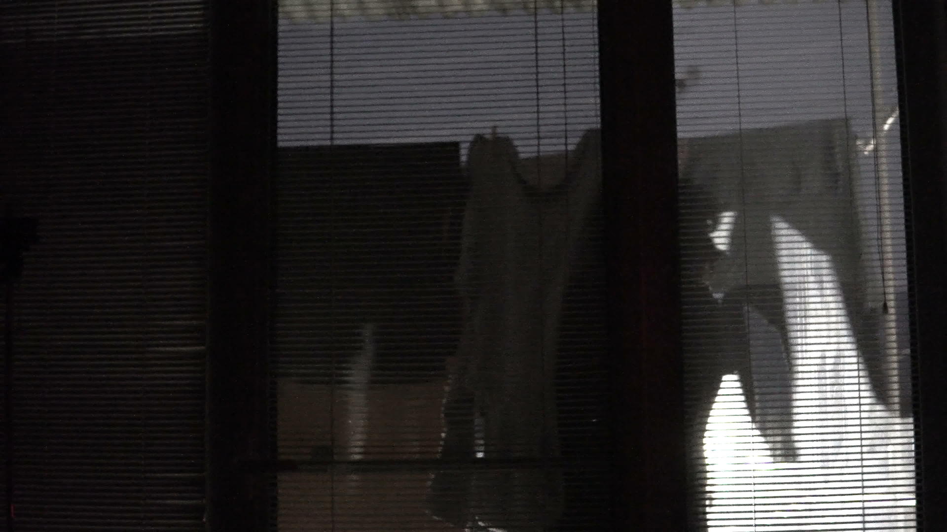晚上洗衣房暴露在户外透过窗帘看到这些女人快乐的轮椅视频的预览图