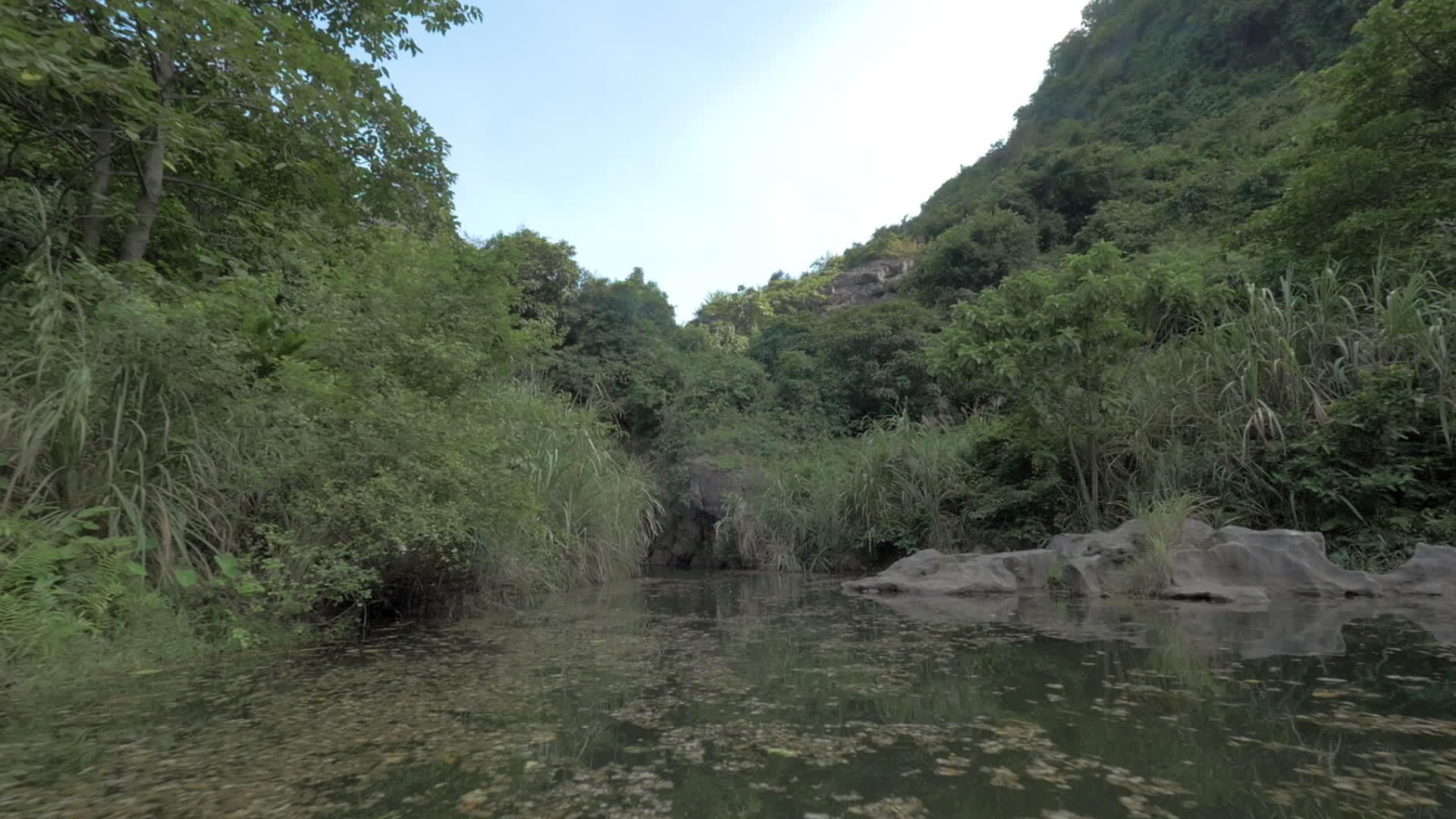 带着洞穴在维特南部巡逻Vietnam视频的预览图