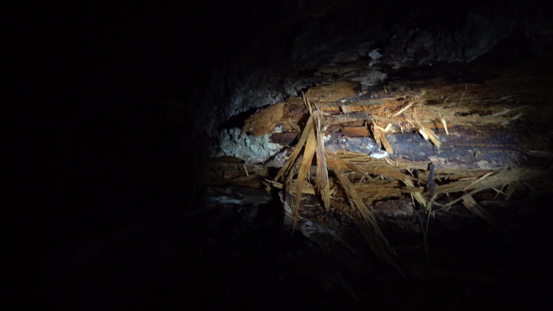 洞穴壁上的手电筒视频的预览图