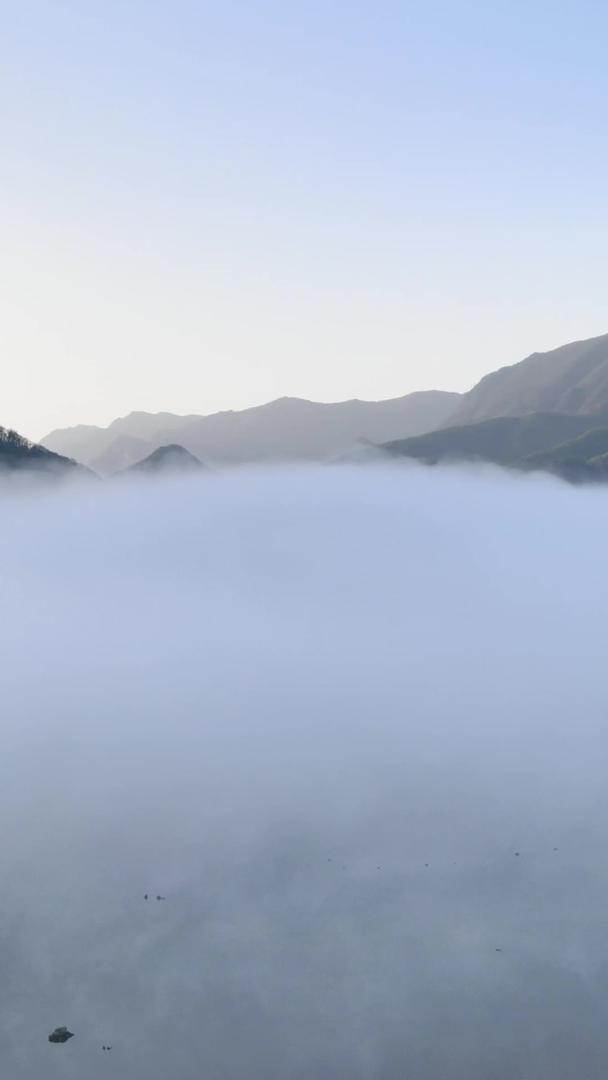 大九湖晨雾航拍神农架5A景区视频的预览图